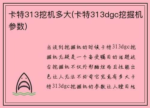 卡特313挖机多大(卡特313dgc挖掘机参数)